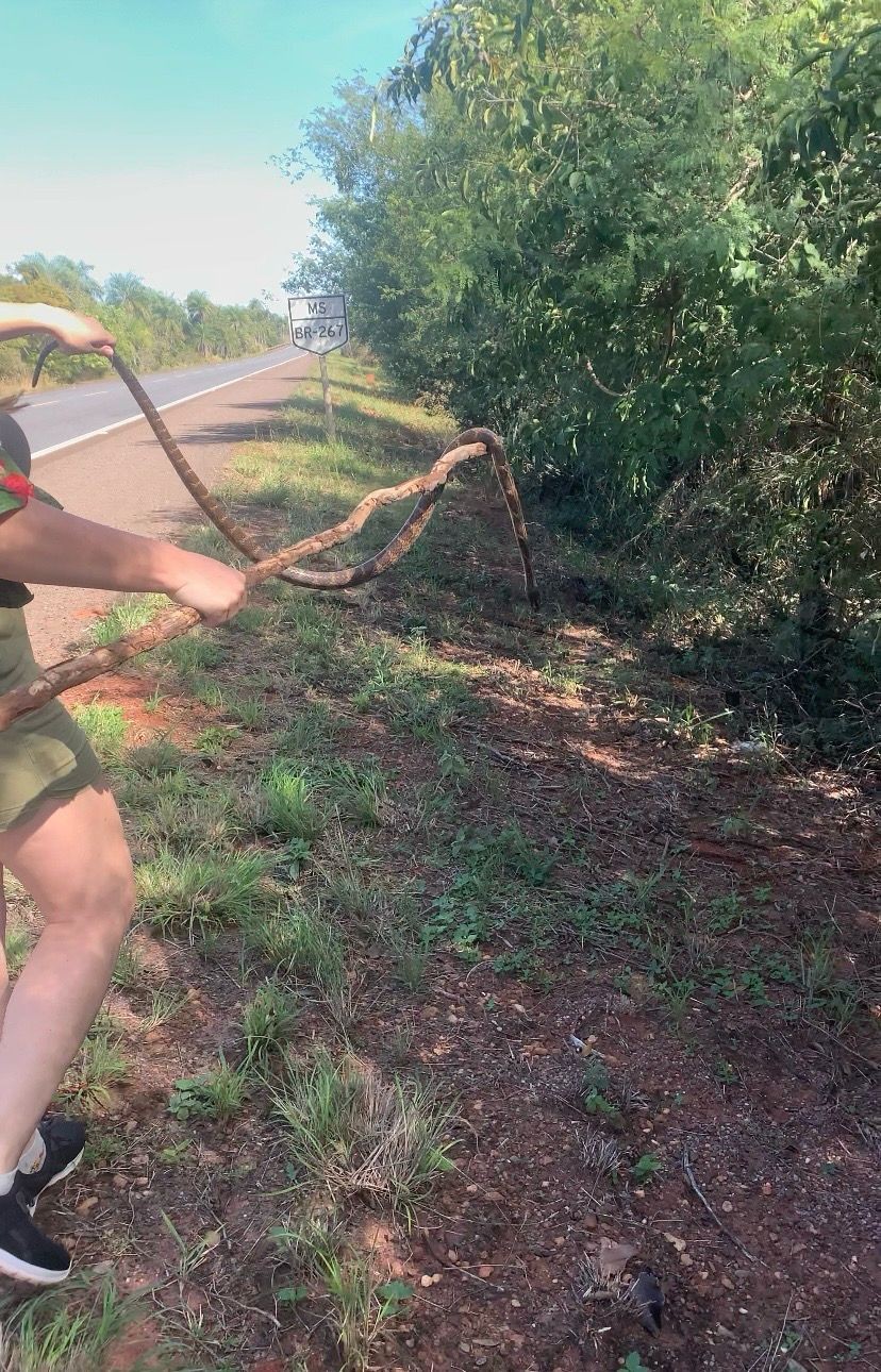 Você Não Tá Convidada pro Meu Bat Mitzvá!