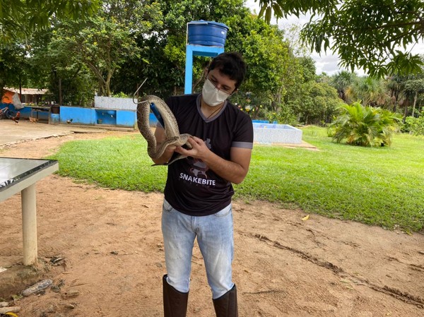 Cascavel nativa de Roraima tem veneno mais difícil de controlar