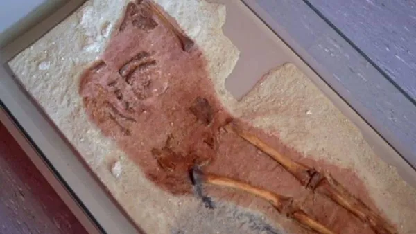 Há 29.000 anos era uma vez a criança do Lapedo