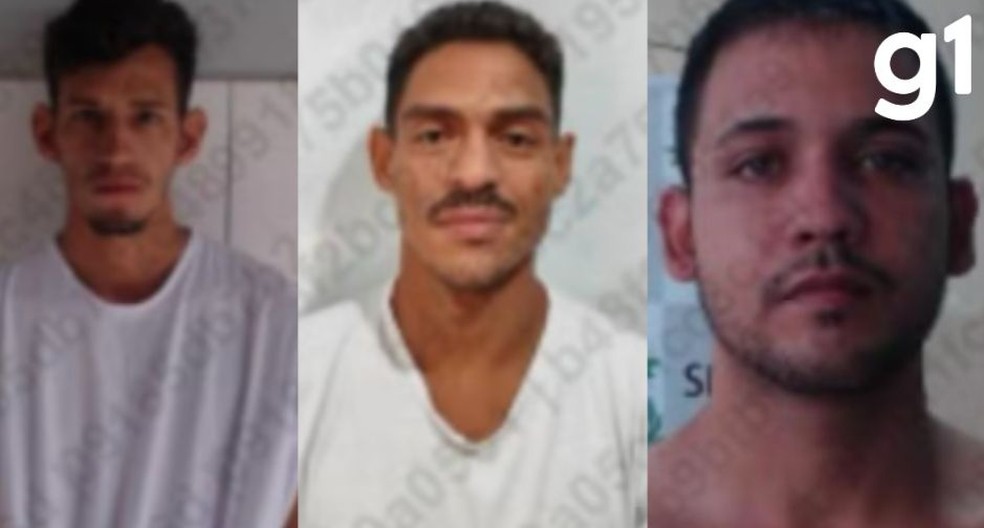 Da esquerda para a direita: Antônio Augusto de Moraes Araújo, Alexsander Gonzaga da Silva e  José Cleiton Melo da Silva — Foto: Sejus-MT/divulgação