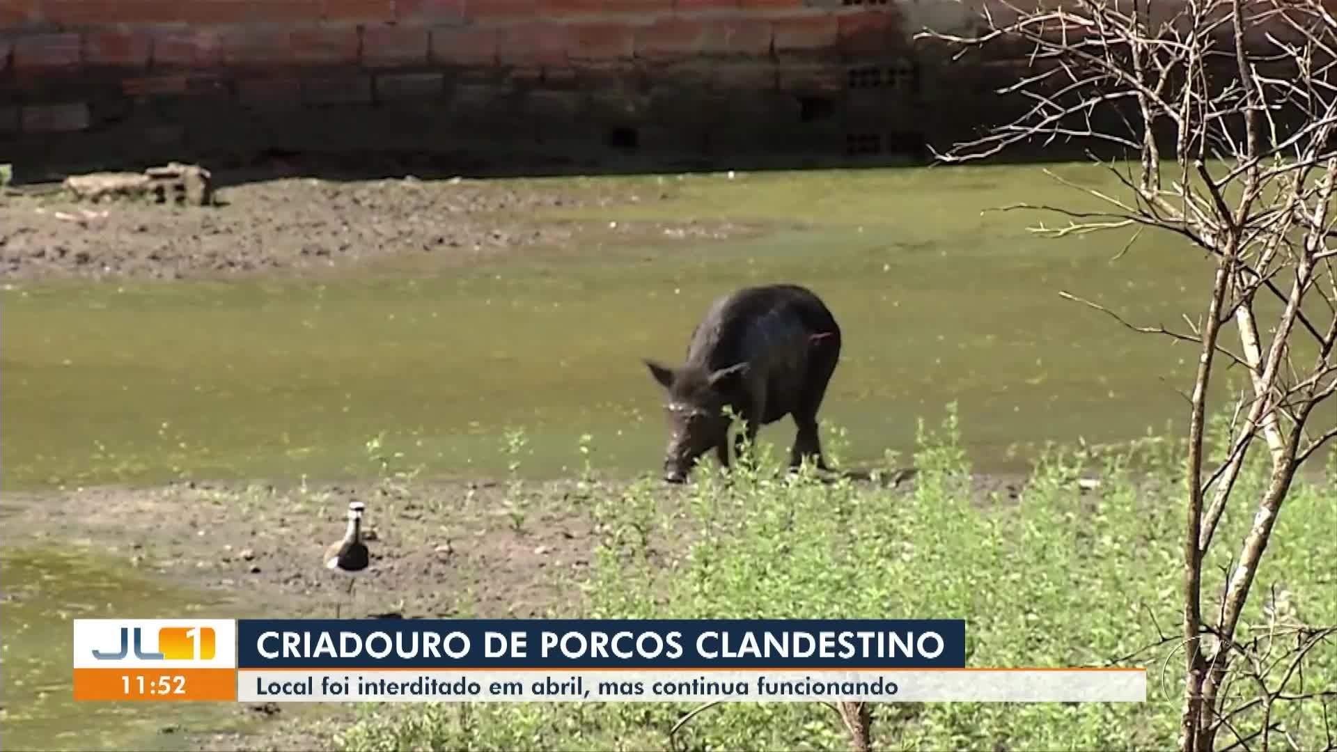 VÍDEOS: JL1 de quinta-feira, 24 de julho de 2025