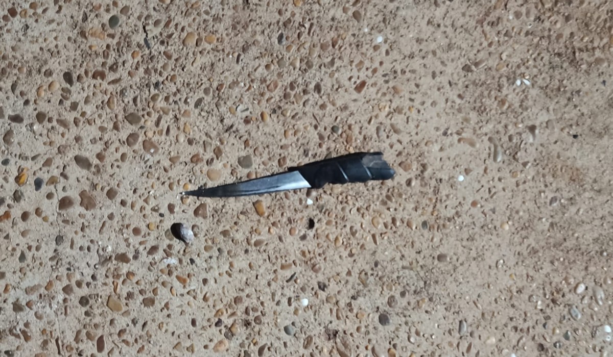 Adolescente tenta agredir a mãe, mata vizinho que tentou defendê-la e acaba apreendido no interior de SP