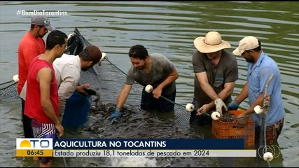 Levantamento registra aumento na produção de pescado do Tocantins