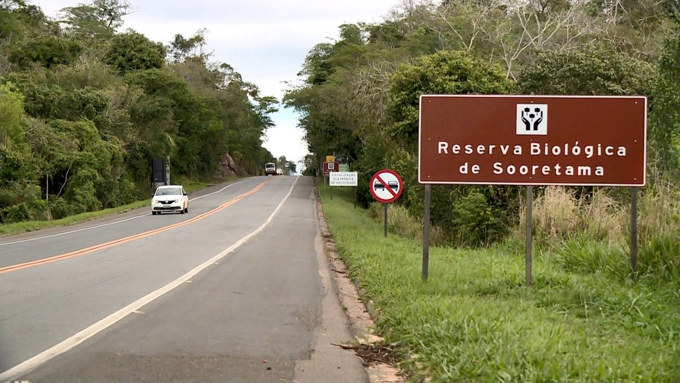 Duplicação na BR-101: concessionária encontra impasse por causa de reserva no Espírito Santo — Foto: Reprodução/ TV Gazeta