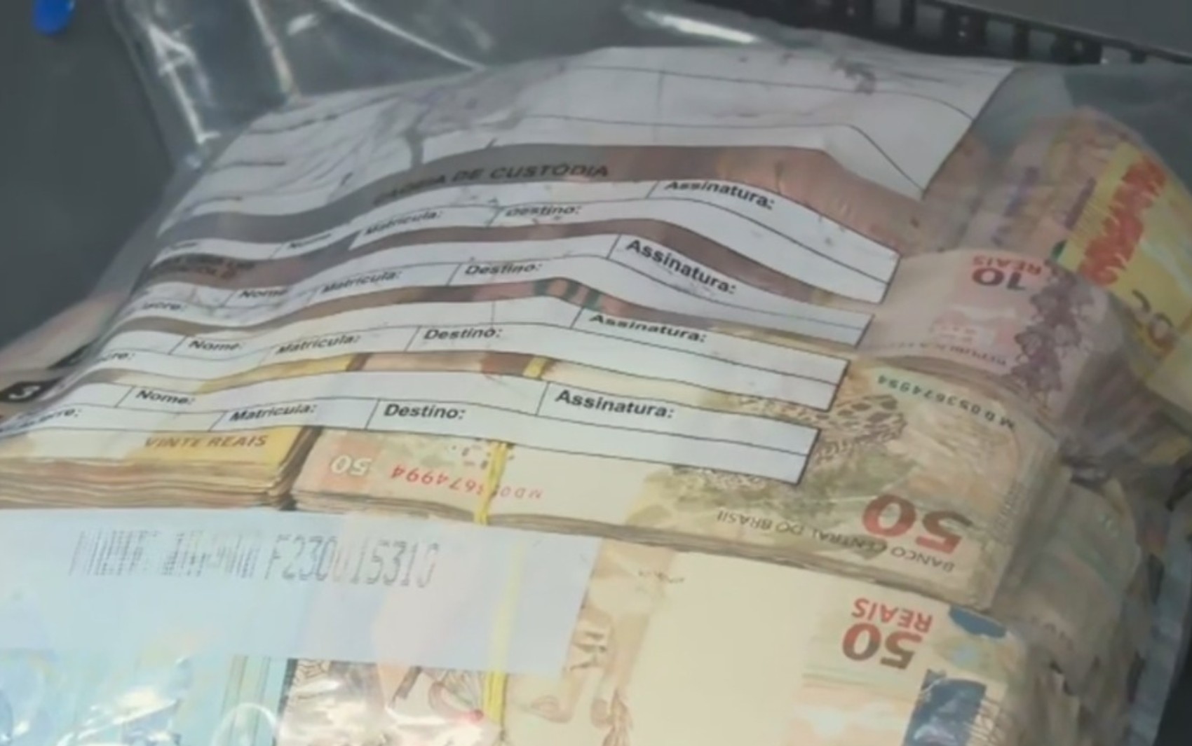 Dez suspeitos de integrar facção criminosa são presos; grupo é dono de haras com cavalos de raça e usina elétrica