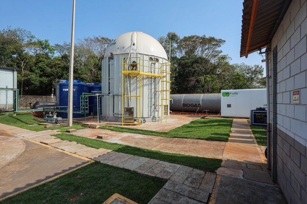 Estrutura de biodigestão para geração de energia — Foto: CIBiogás