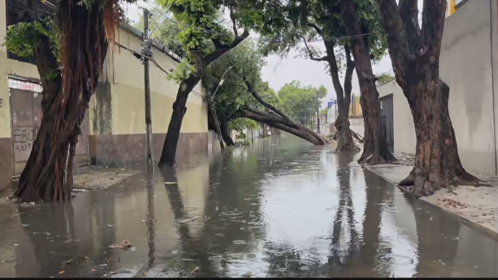 Alagamento e árvores caídas sobre casa na Rua do Sossego, no Centro do Recife — Foto: Reprodução/TV Globo