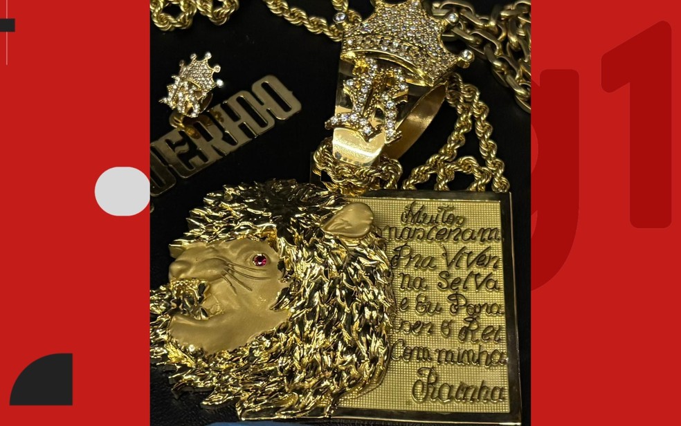 Colar de ouro e imagem de leão também foi encontrado na casa da suspeita — Foto: Polícia Civil