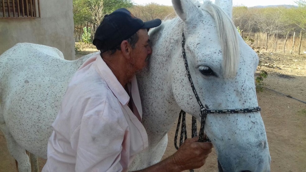 Homem faz cavalo de cimento e chama atenção de curiosos em Cajazeiras