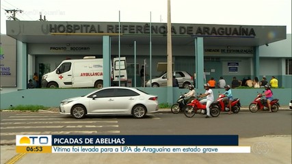 Homem picado por abelhas é internado em estado grave no Hospital Regional de Araguaína