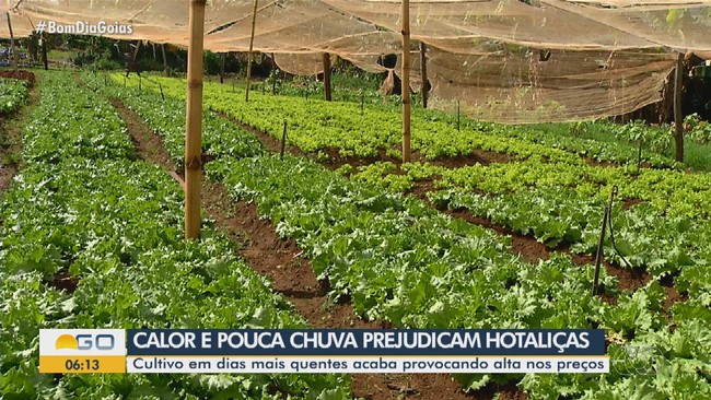 Calor e pouca chuva prejudicam hortalias