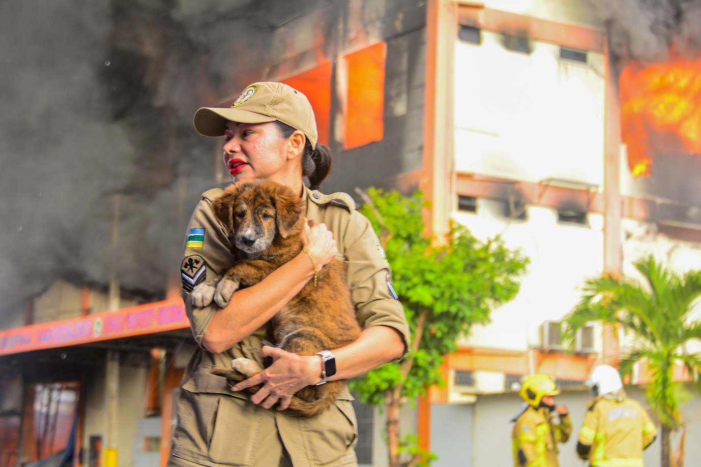 Fotografia eterniza momento em que bombeira resgata animal durante incêndio no Amapá