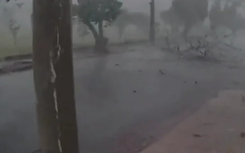 Ventos provocaram queda de árvores em Cravinhos (SP) no sábado (10) — Foto: Reprodução/Câmeras de segurança