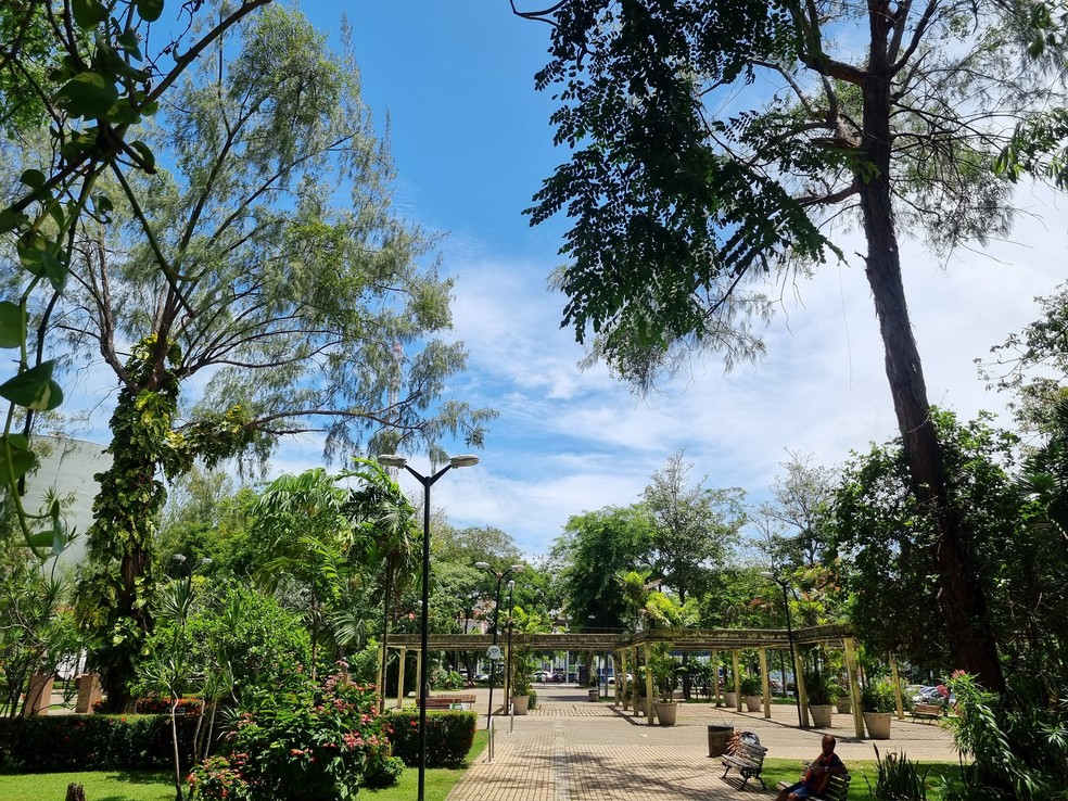 Dermatologista dá dicas de proteção a quem costuma estar exposto ao sol em praças, parques e outros locais públicos — Foto: Gabriela Feitosa/g1