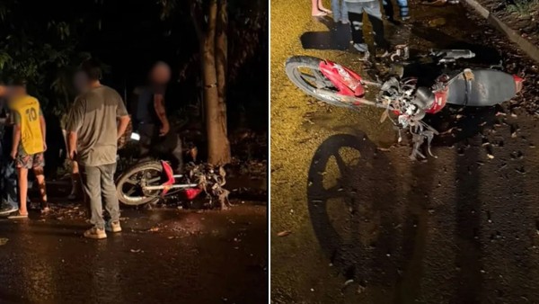 Motociclista sem CNH morre após bater em árvore no noroeste de SP; filha de 12 anos estava na garupa
