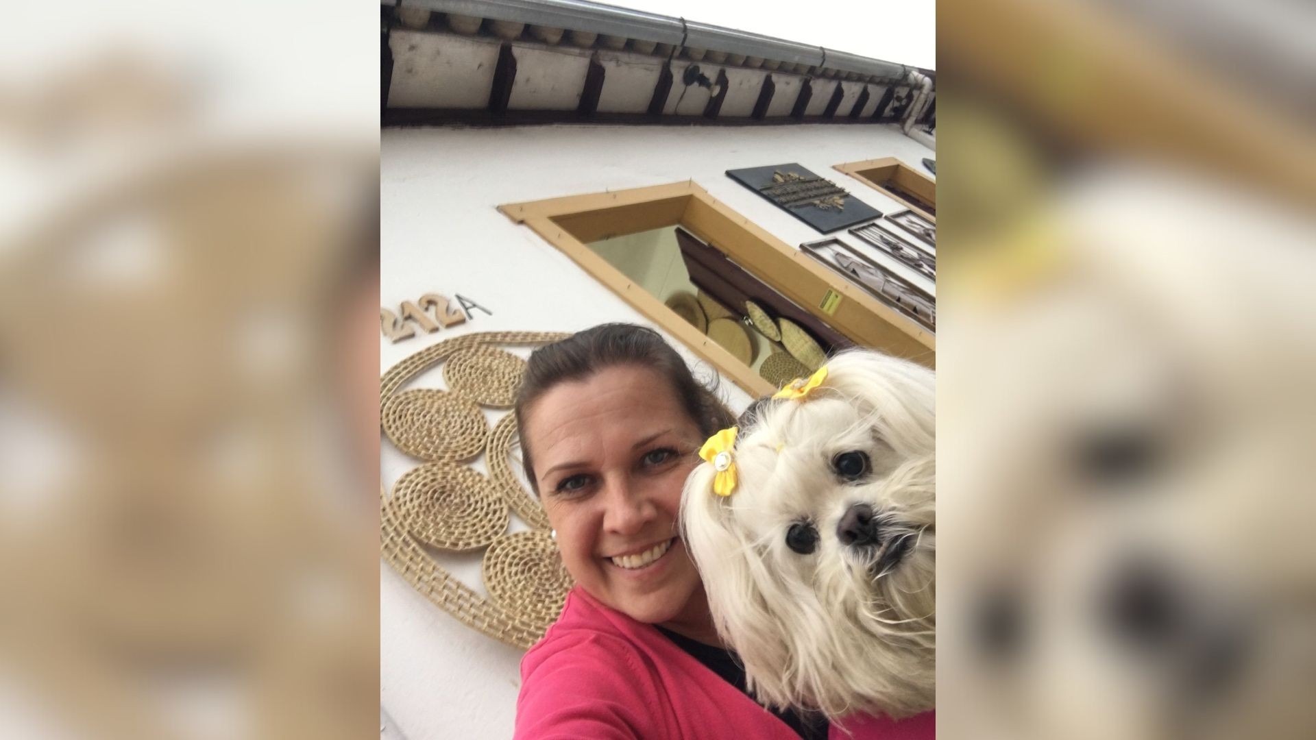 Jornalista transforma luto em campanha para ajudar animais abandonados após perder cachorra de 15 anos: 'Me transformou' 