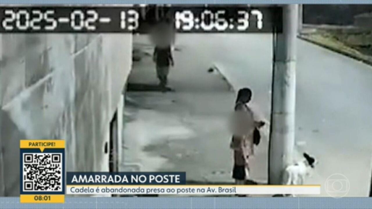 VÍDEO: mulher amarra em poste e abandona cadela na Avenida Brasil