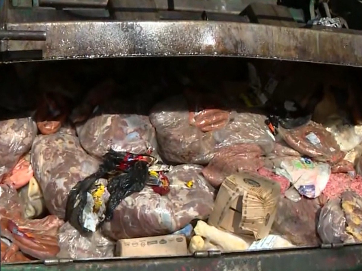 Polícia apreende 3 toneladas de carne estragada em depósito que abastecia rede de açougues em Campinas