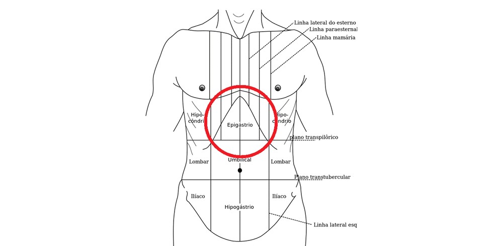 Localização da região epigástrica. — Foto: Domínio Público