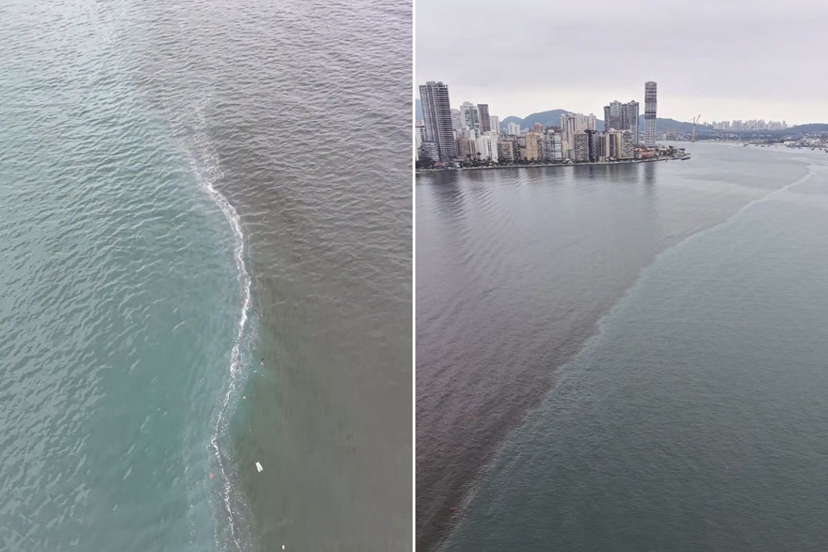 Drone registra divisão no mar em Santos; fenômeno é o mesmo dos rios Negro e Solimões