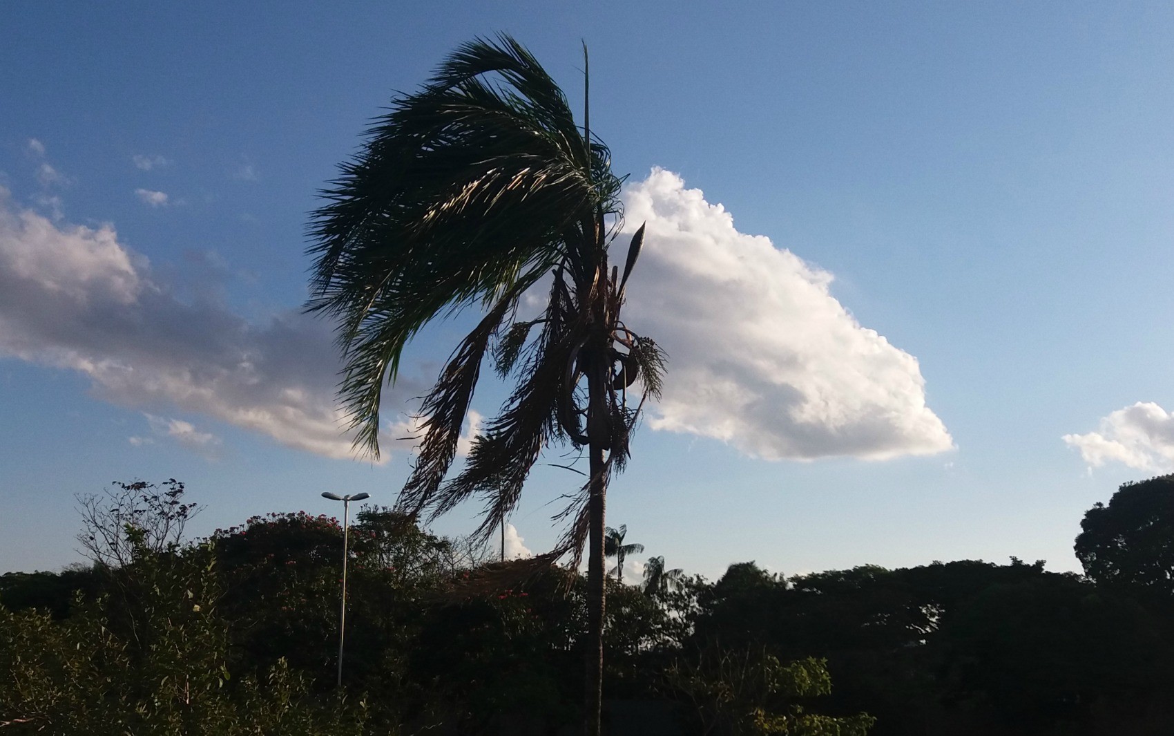 Alerta de vendaval: Inmet prevê ventos fortes de até 60 km/h em dez cidades da região; veja lista