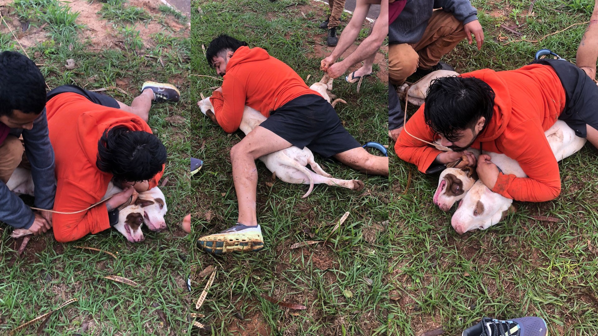 Lutador usou técnicas de Muay Thai e Jiu-Jitsu para imobilizar pitbulls durante ataque em MS