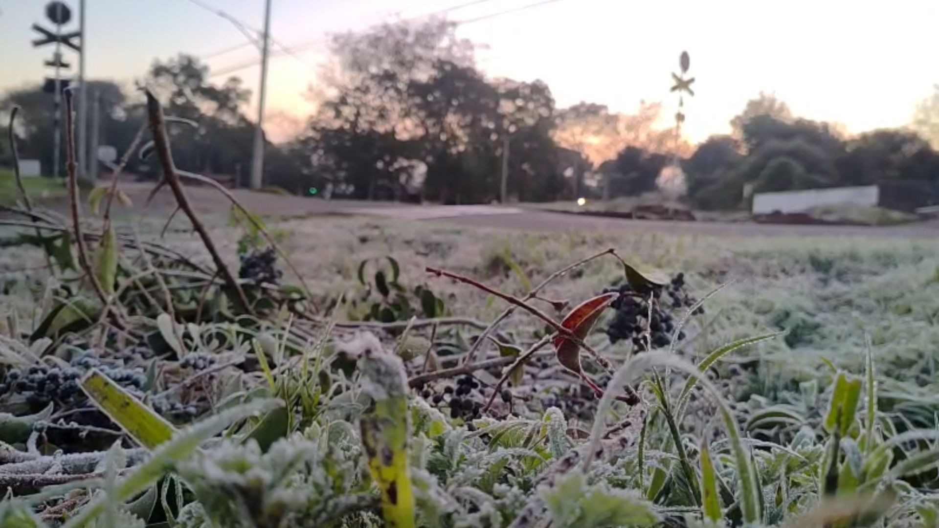 Massa de ar polar derruba temperaturas e RS registra mínima de -2,6°C; confira a previsão para a semana