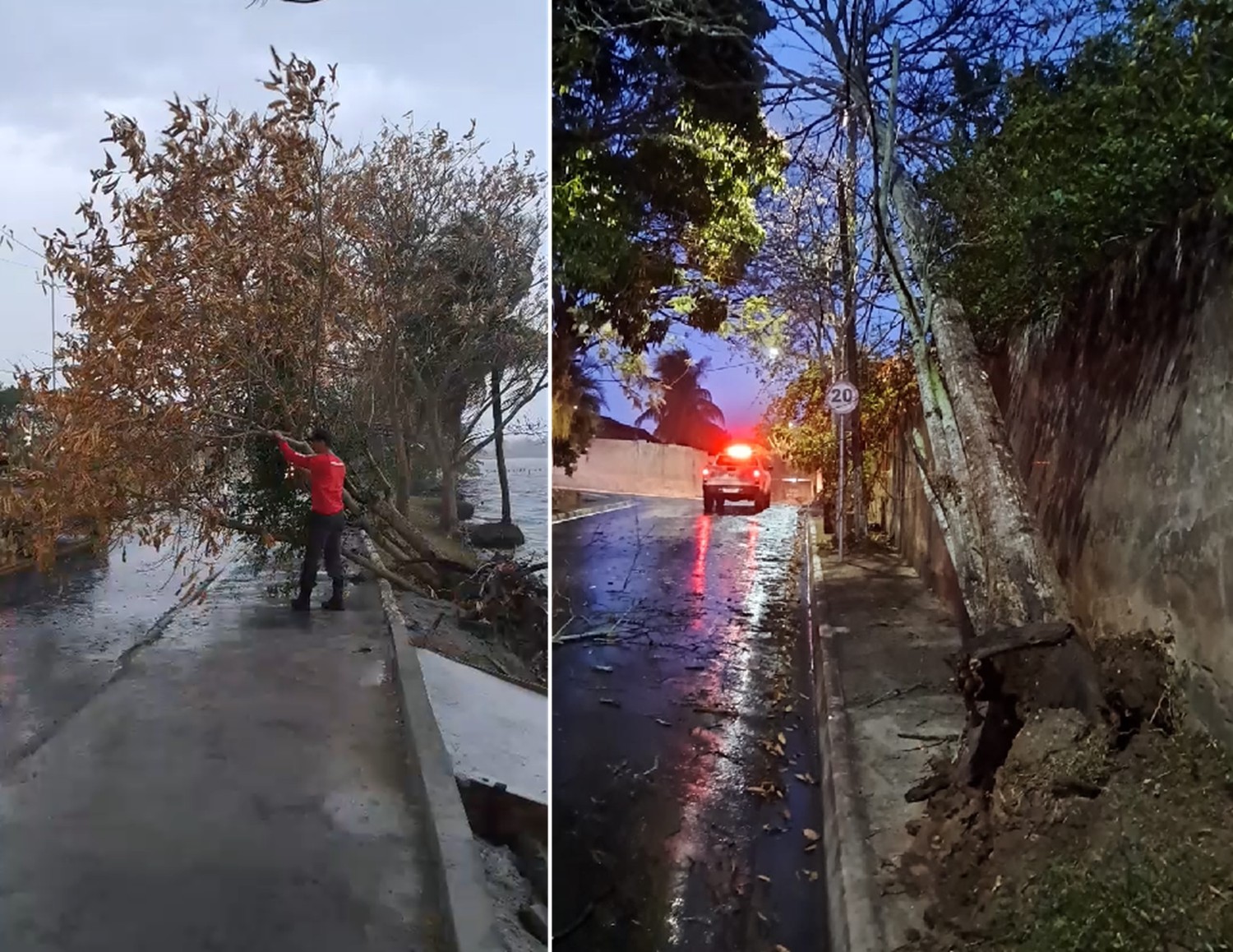Saquarema registra quedas de árvores durante chuva e ventania