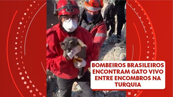 ES envia bombeiros e cadela especialista em buscas para ajudar em resgate  na Turquia, Espírito Santo