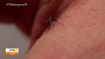 Maioria das arboviroses são causadas pelo Aedes Aegypti