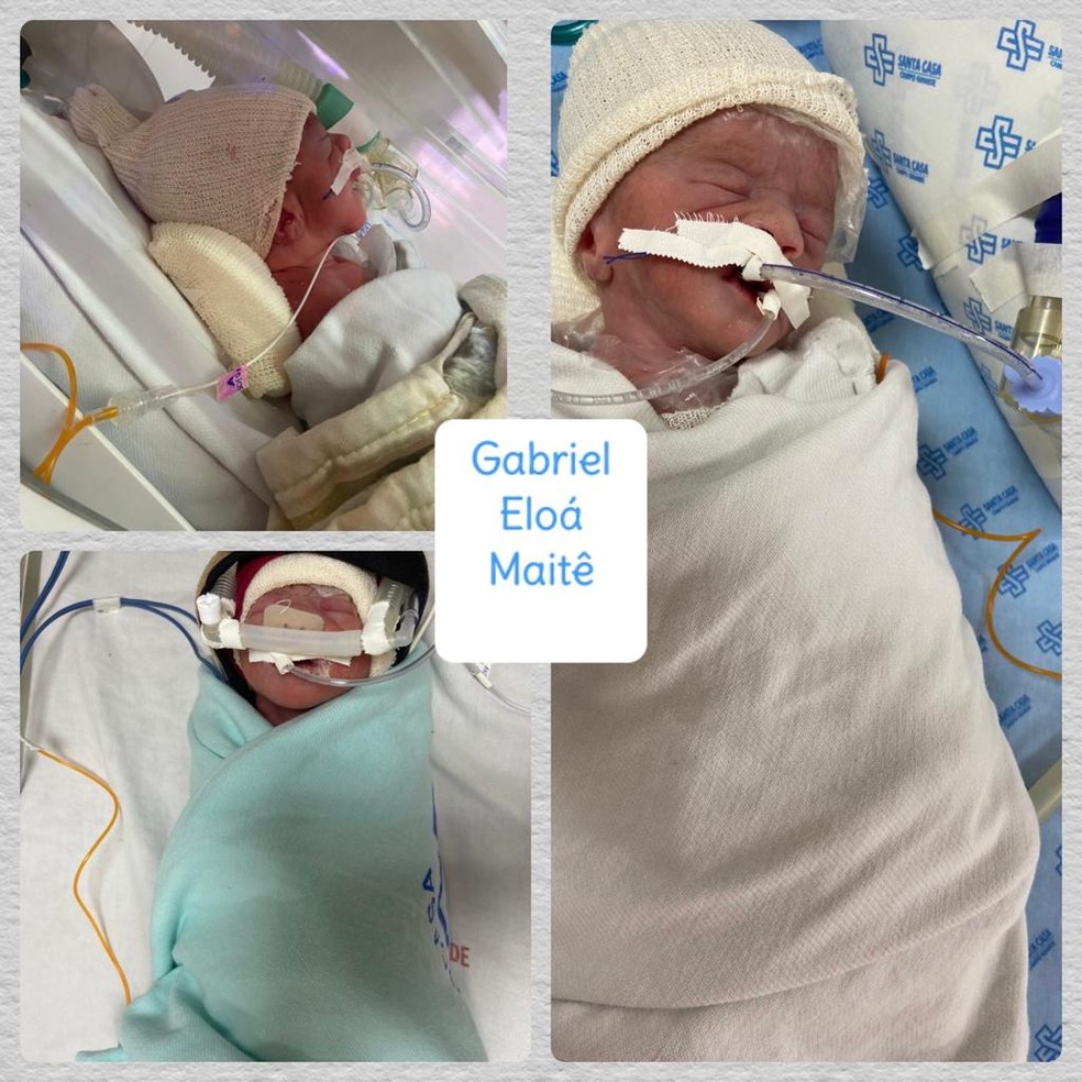  Gabriel, Maitê e Eloá nasceram de 32 semanas — Foto: Arquivo Pessoal