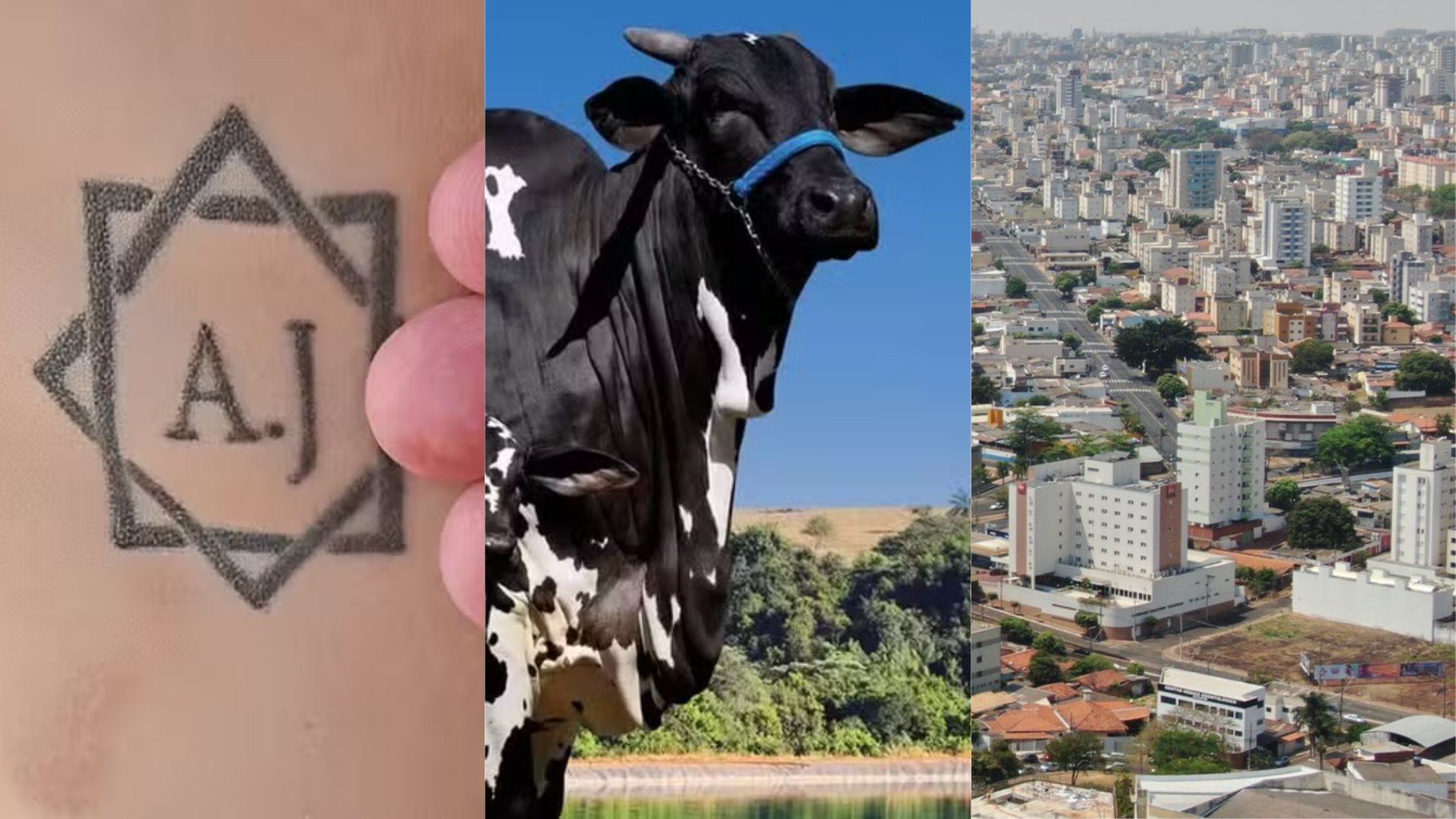 Você viu? Homem forçado a tatuar iniciais dos patrões, vaca bate o próprio recorde na ExpoZebu e empreendimento logístico com até 1.800 empregos