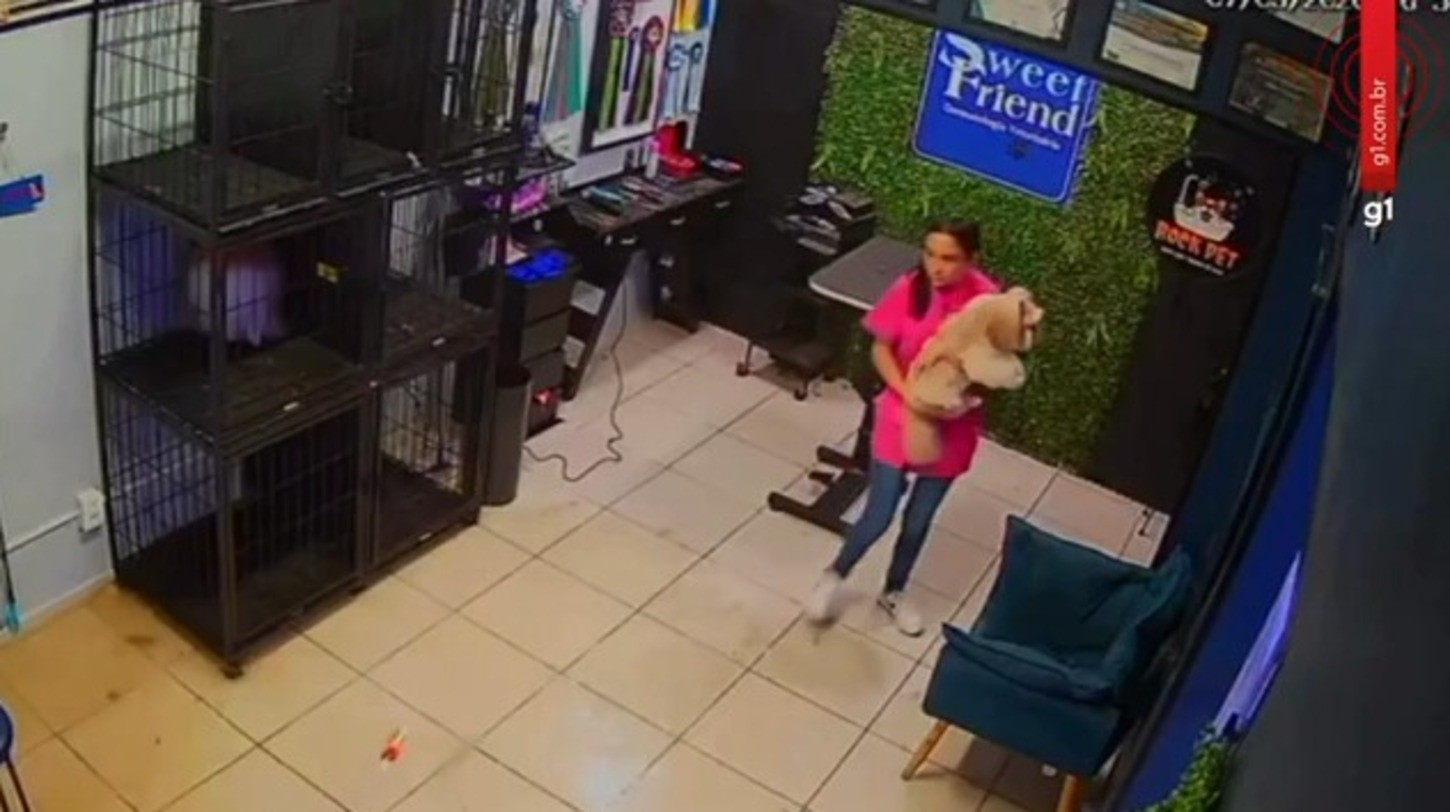VÍDEO: funcionários de pet shop correm para salvar cachorros de enchente em Sorocaba 