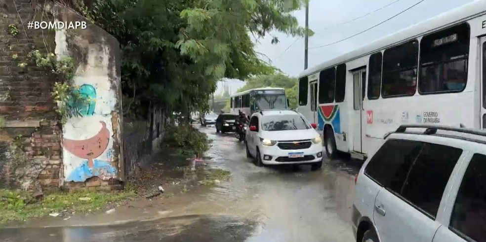 Na Avenida Sanhauá, uma árvore caiu e atingiu a lateral de um muro no trecho em direção ao Centro. — Foto: Reprodução / TV Cabo Branco