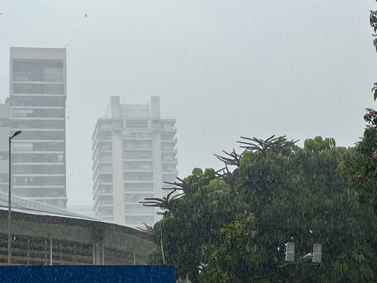 Chuva coloca cidade de São Paulo em estado de atenção para alagamentos