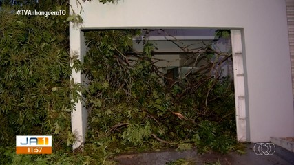 Chuva forte e ventania deixam cenário de destruição na Arso 151