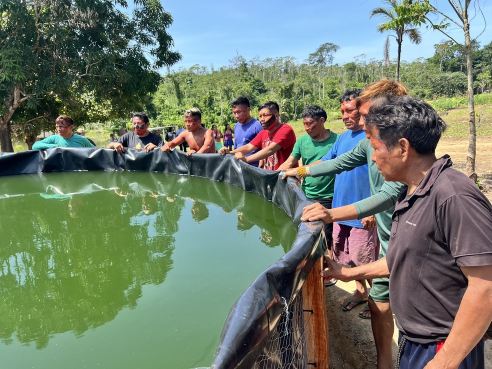 Indígenas Yanomami diante de um dos tanques instalados para criação de peixes na comunidade Sikamabiu — Foto: Caíque Rodrigues/g1 RR