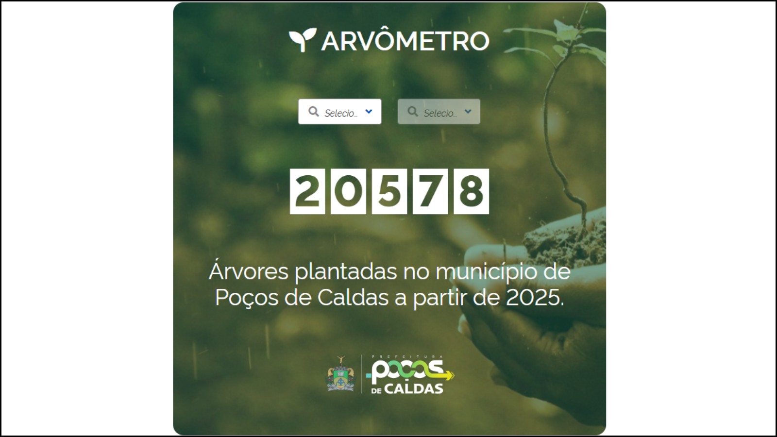 Prefeitura de Poços de Caldas lança o arvômetro para acompanhar o plantio de árvores