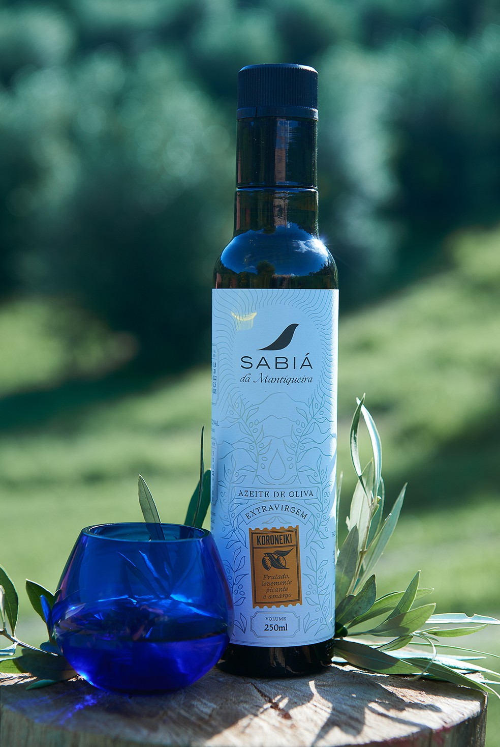 Azeite produzido no interior de SP é eleito o melhor do mundo por guia internacional — Foto: Divulgação/Azeite Sabiá