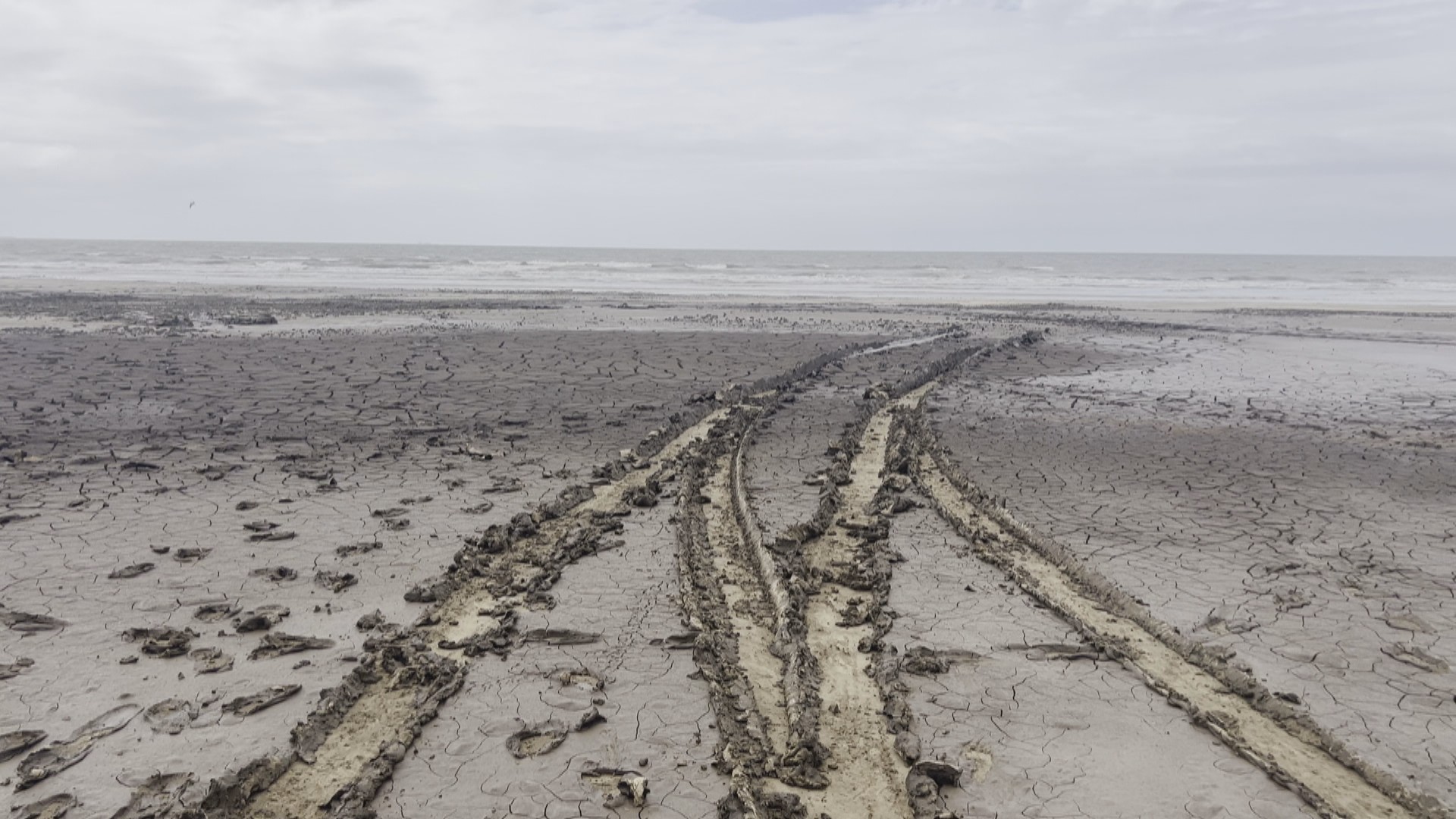 Por que parte da maior praia do Brasil está interditada por lama? Entenda