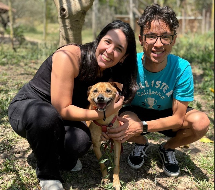 Sobrevivente das enchentes do RS, cão atropelado no 1º passeio com tutores em SP passa por cirurgia; ação arrecadou mais de R$ 35 mil 