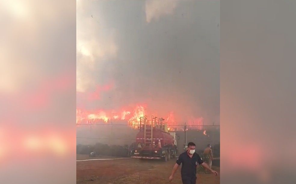 Incêndio que atingiu Paulo de Faria (SP) no sábado (23) — Foto: Arquivo pessoal