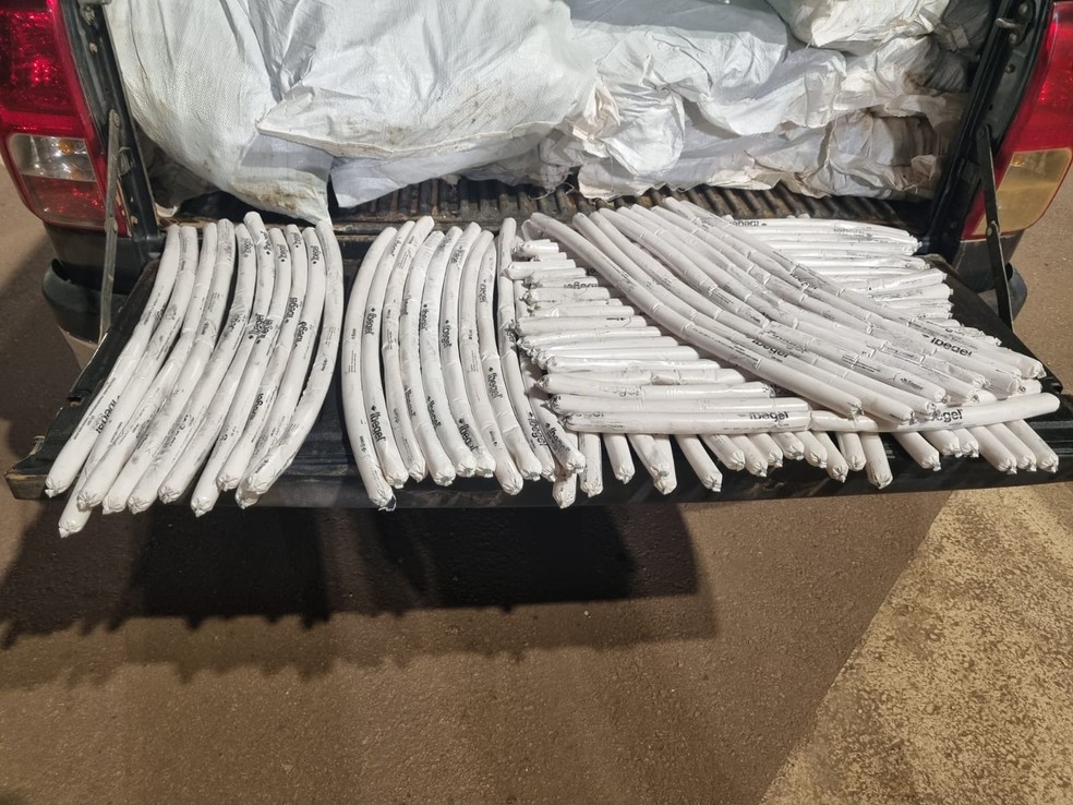 As equipes encontraram cerca de 2.760 bisnagas de material explosivo do tipo emulsão encartuchada. — Foto: Polícia Rodoviária Federal