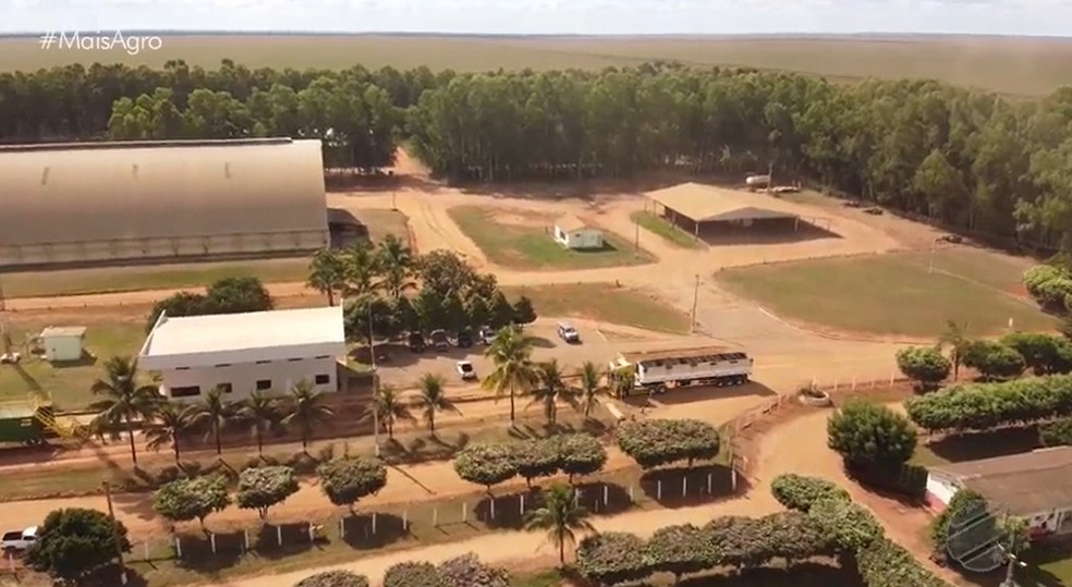 O transporte é um fator essencial para comercialização do grão em MT — Foto: TVCA/Reprodução