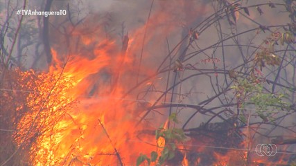 Calor e tempo seco eleva os riscos de incêndios no cerrado tocantinense