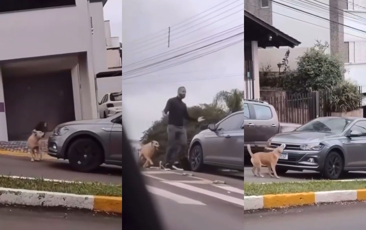 Cachorro impede passagem de carro de policial em SC e vídeo viraliza: 'Ele me enquadrou'
