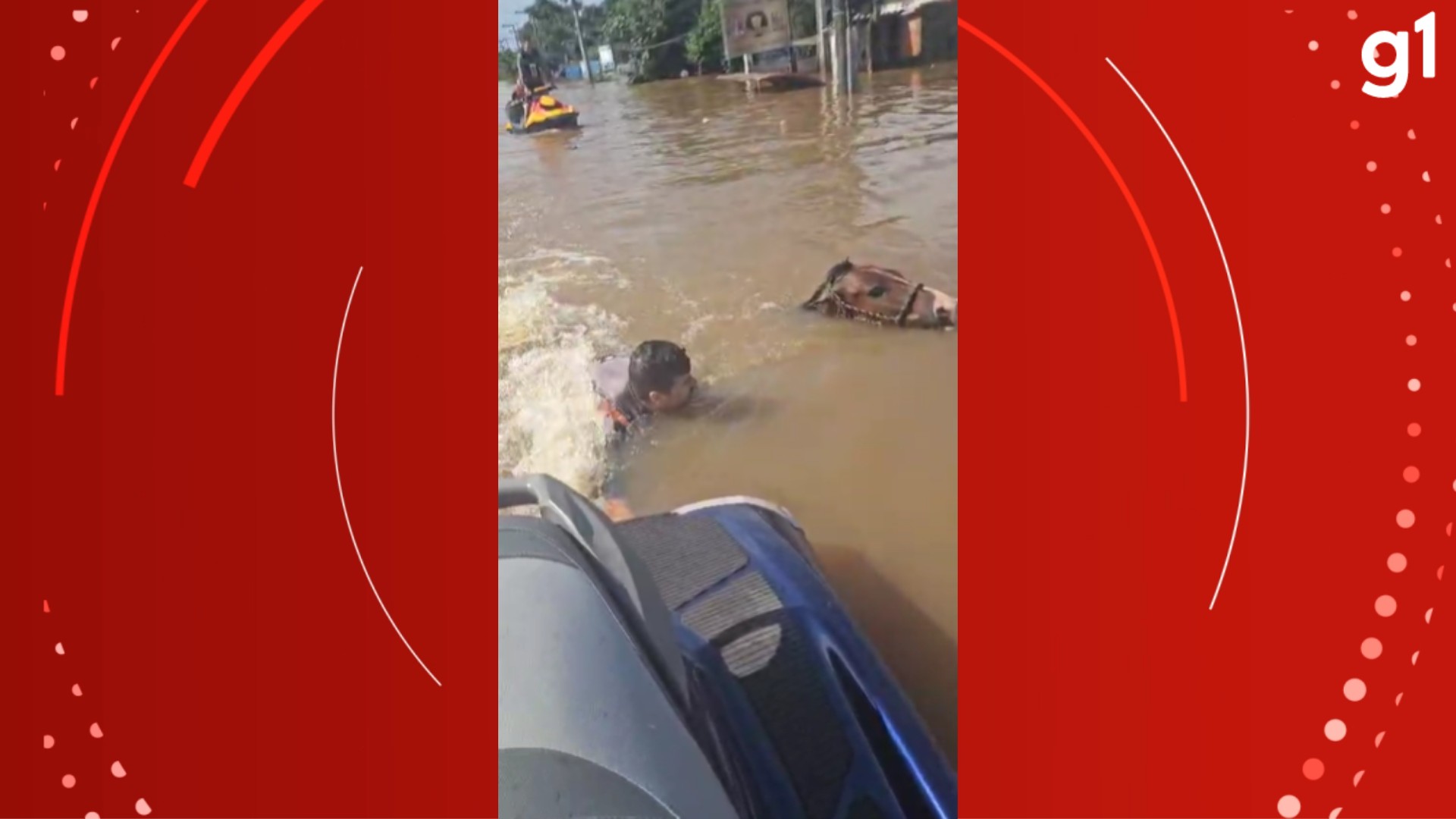 Vice-prefeito de cidade do RS resgata cavalo submerso em Canoas: 'Jamais deixaríamos ele morrer'; VÍDEO