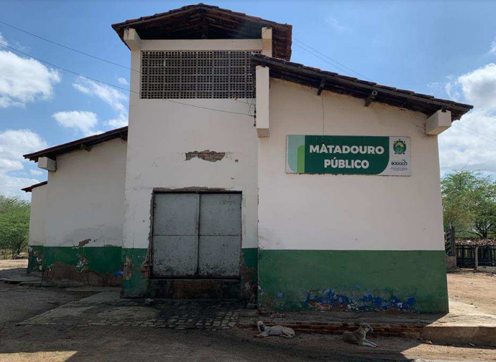 Justiça determina a interdição do matadouro de Bodocó — Foto: Ascom/MPPE