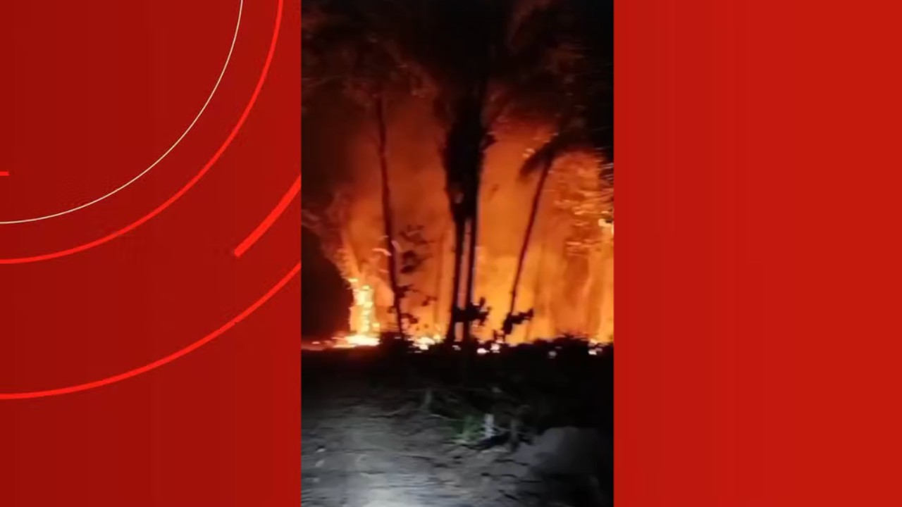 Fogo se espalha por áreas rurais e urbanas de Boa Vista do Ramos; moradora relata sofrimento de animais