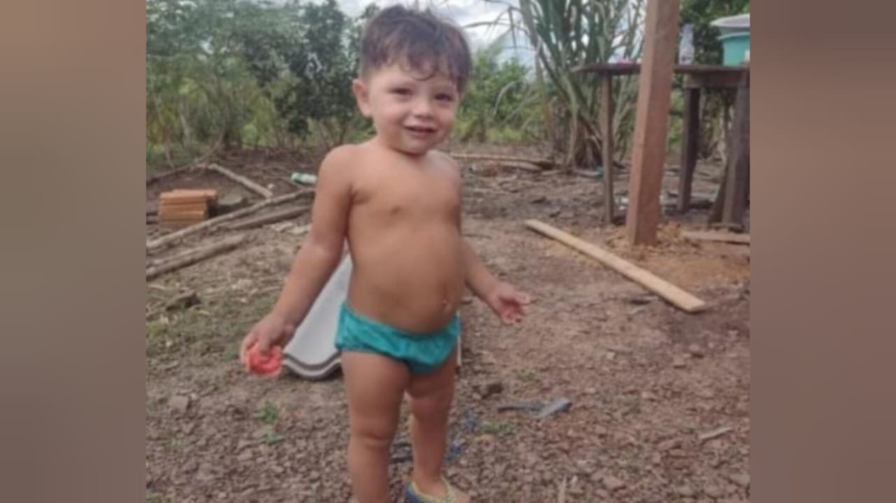 Criança de 2 anos morre após ser picada por escorpião dentro de rede na zona rural de Monte Alegre